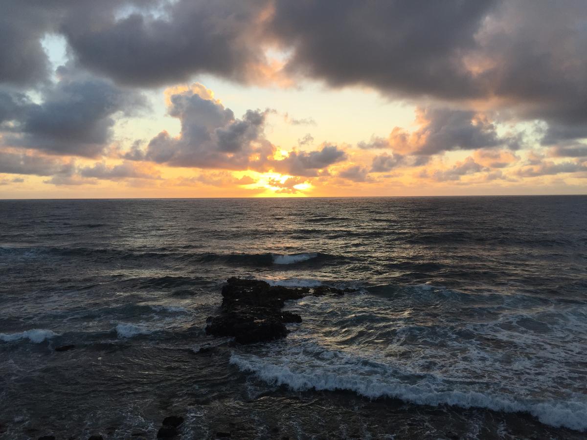 Hotel Coral Reef - thumb 18