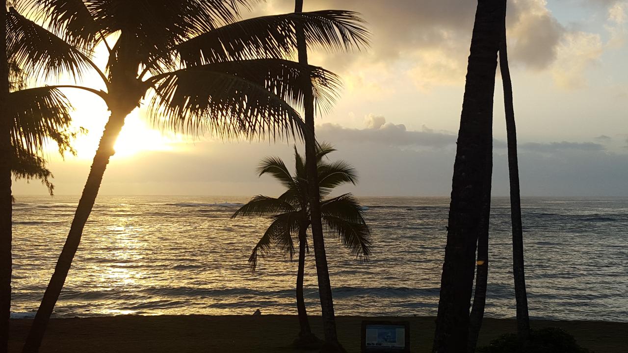 Hotel Coral Reef - thumb 22