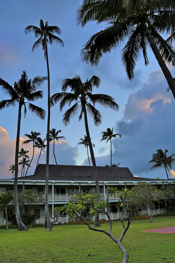 Plantation Hale Suites - thumb 4