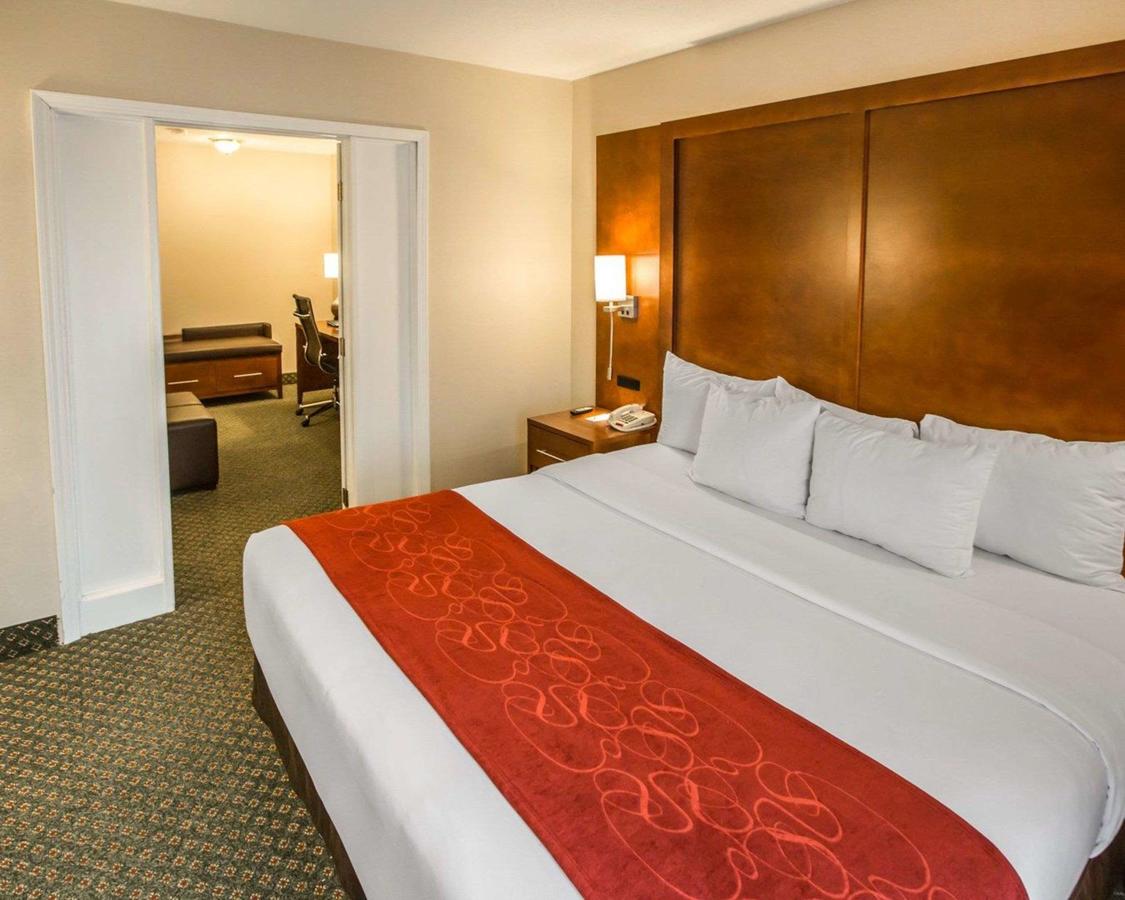 Comfort Suites Chicago - Oakbrook Terrace - thumb 13