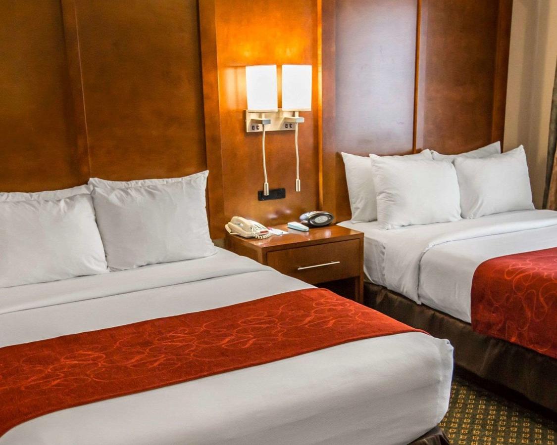 Comfort Suites Chicago - Oakbrook Terrace - thumb 22
