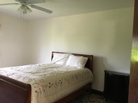 Booking Lewis Orlando Tourists