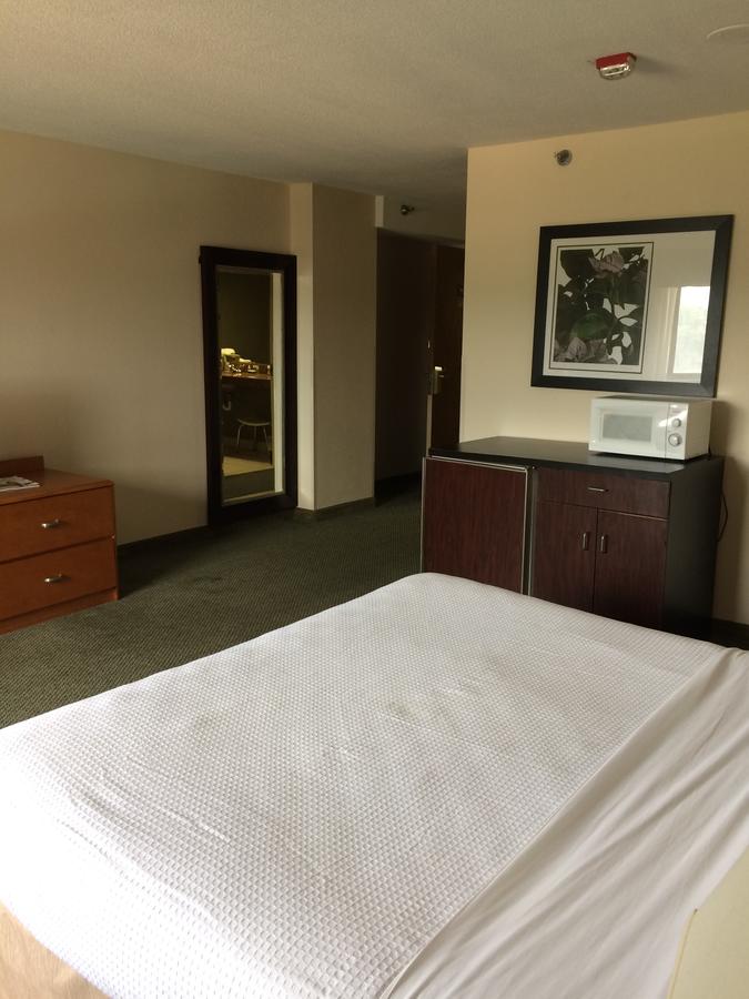 Capital Plaza Hotel - thumb 16