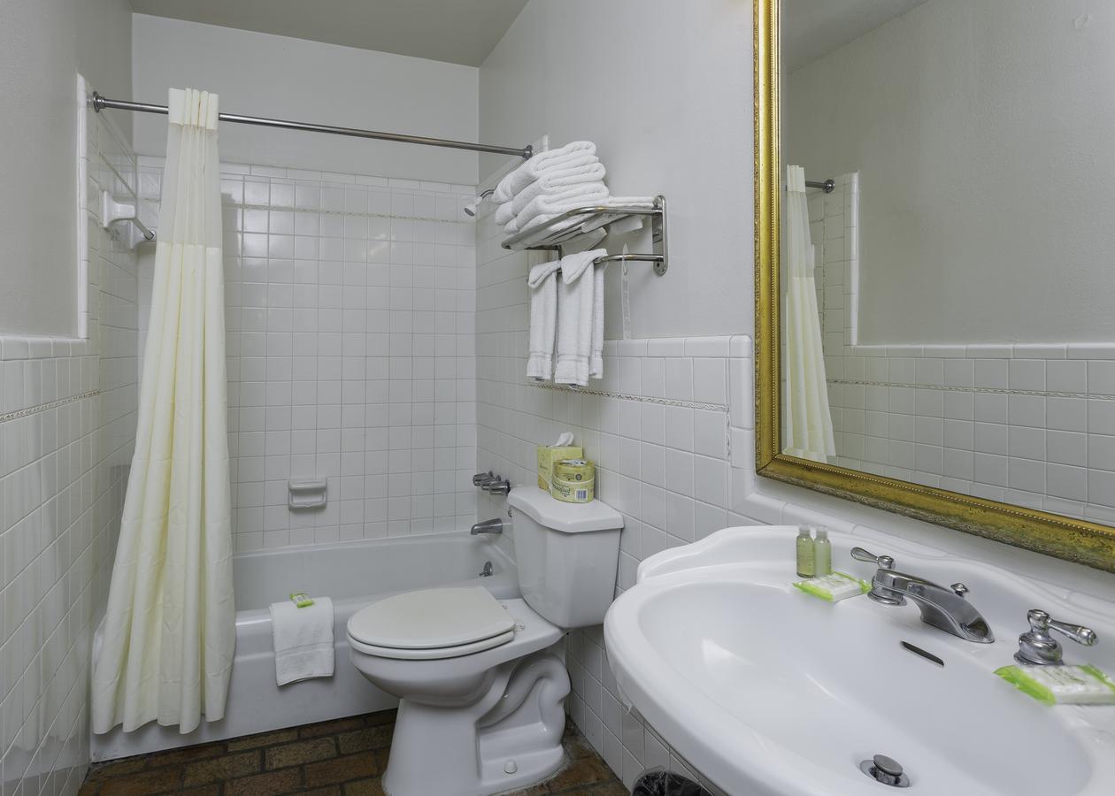 French Quarter Suites Hotel - thumb 10