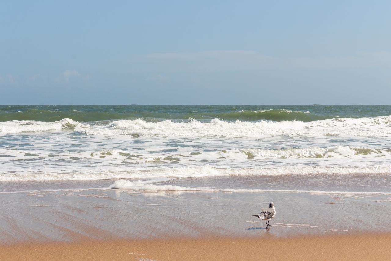 Antigua Condos - thumb 6