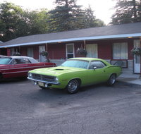 Woodland Motor Lodge - Orlando Tourists