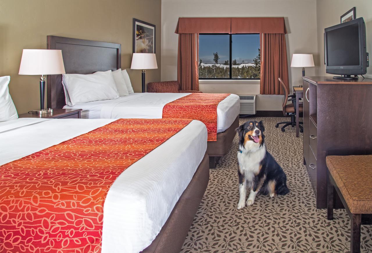 Gray Wolf Inn & Suites - thumb 1