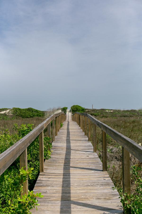 Marlin Madness BB909 Home - thumb 4