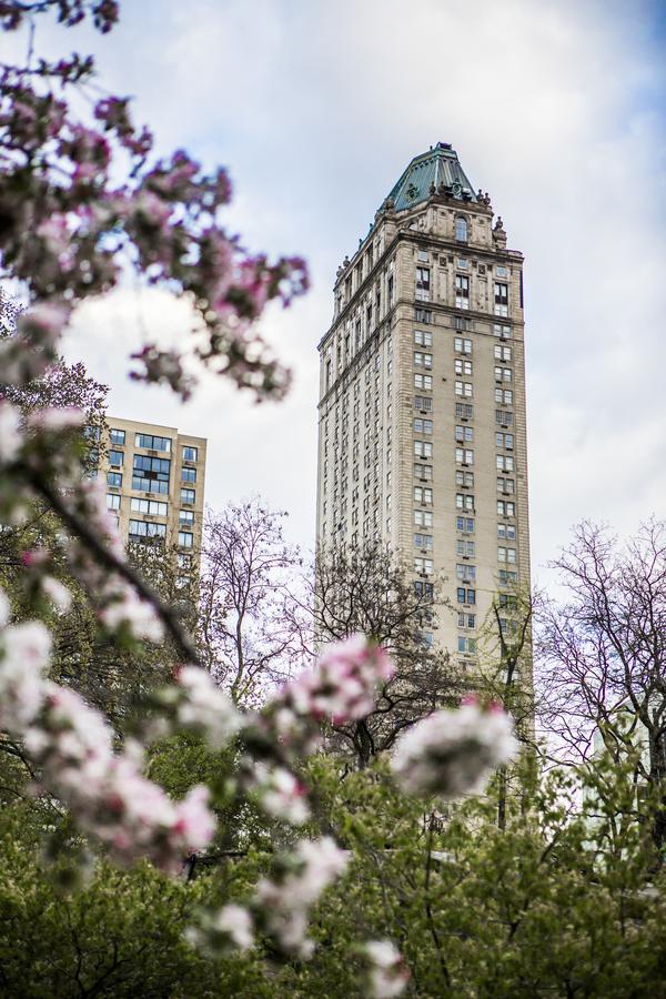 The Pierre, A Taj Hotel, New York - thumb 7