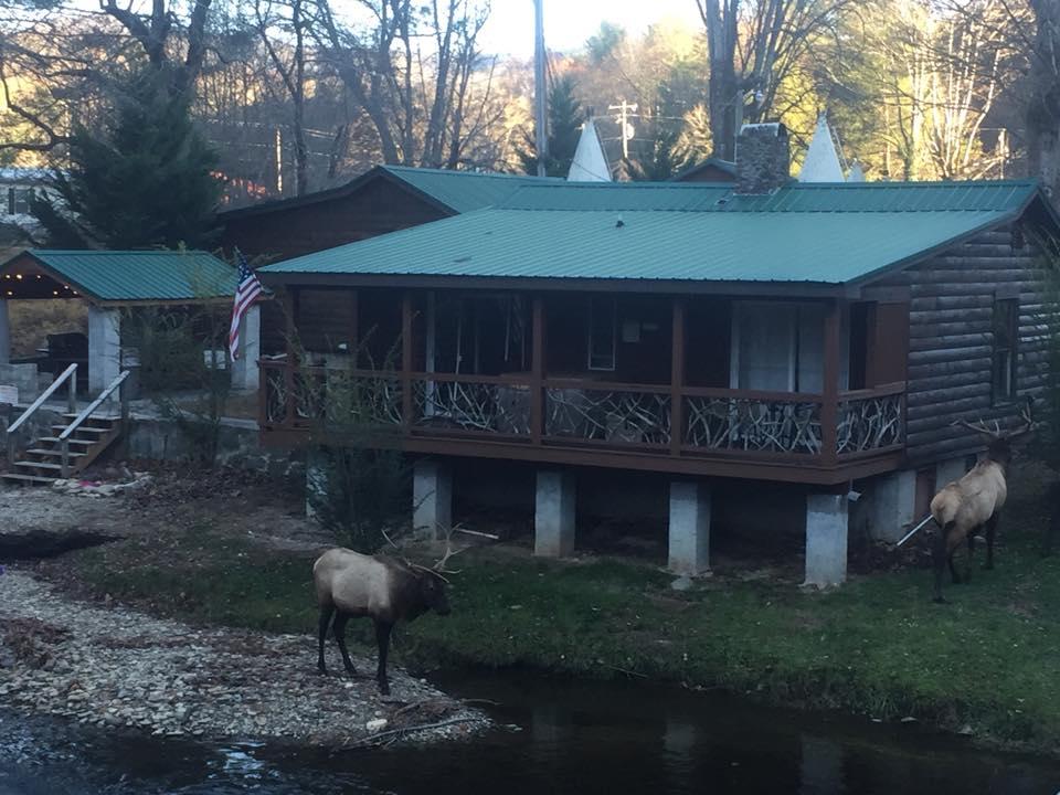 Qualla Cabins And Motel - thumb 1