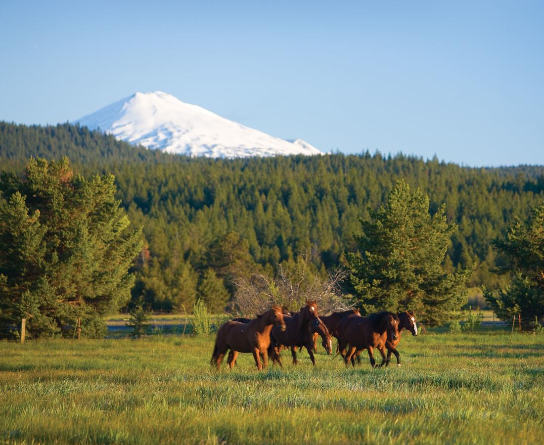 Sunriver Resort - thumb 32