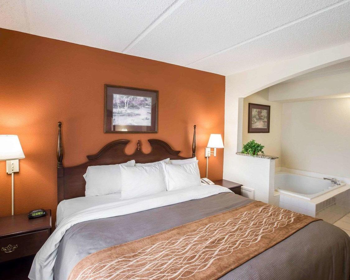 Comfort Inn & Suites At I-85 - thumb 12