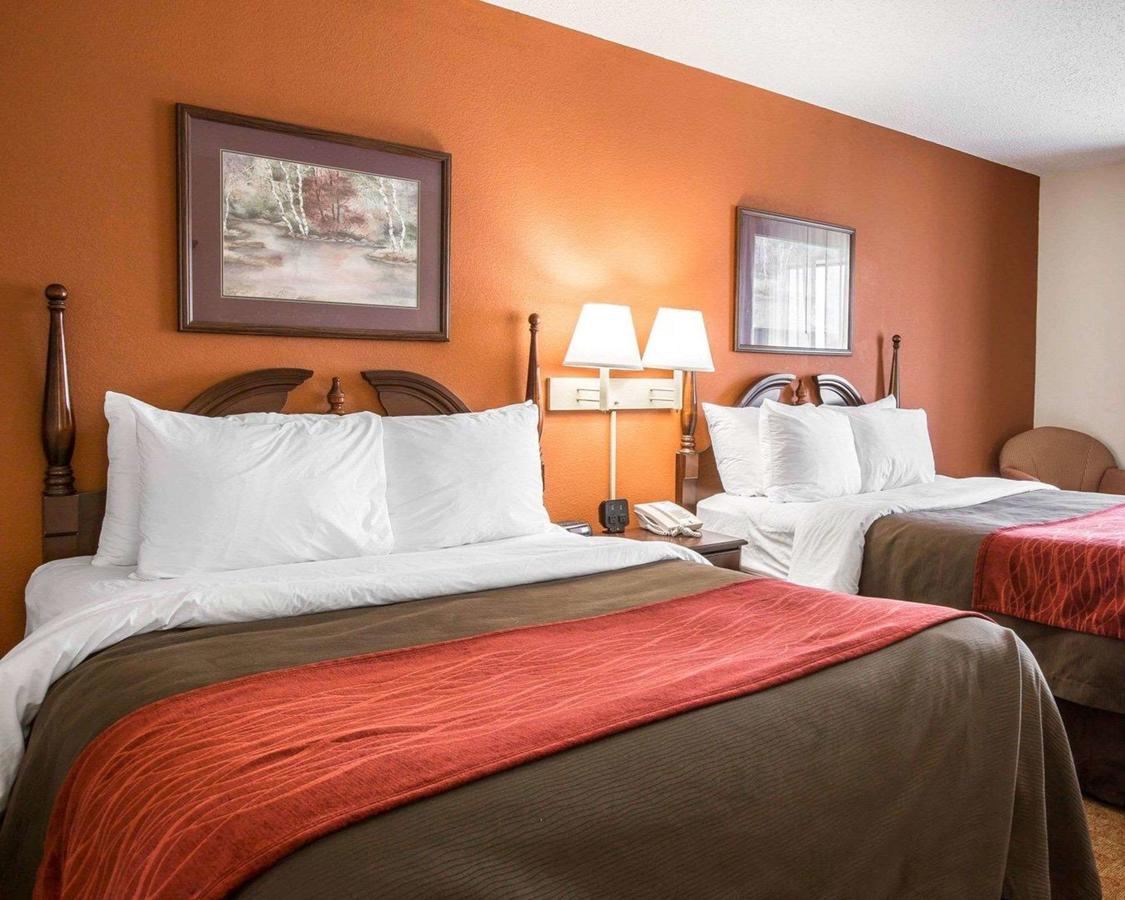 Comfort Inn & Suites At I-85 - thumb 29