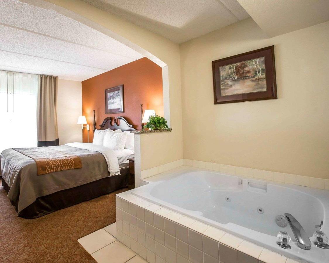 Comfort Inn & Suites At I-85 - thumb 5