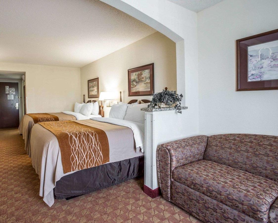 Comfort Inn & Suites At I-85 - thumb 10