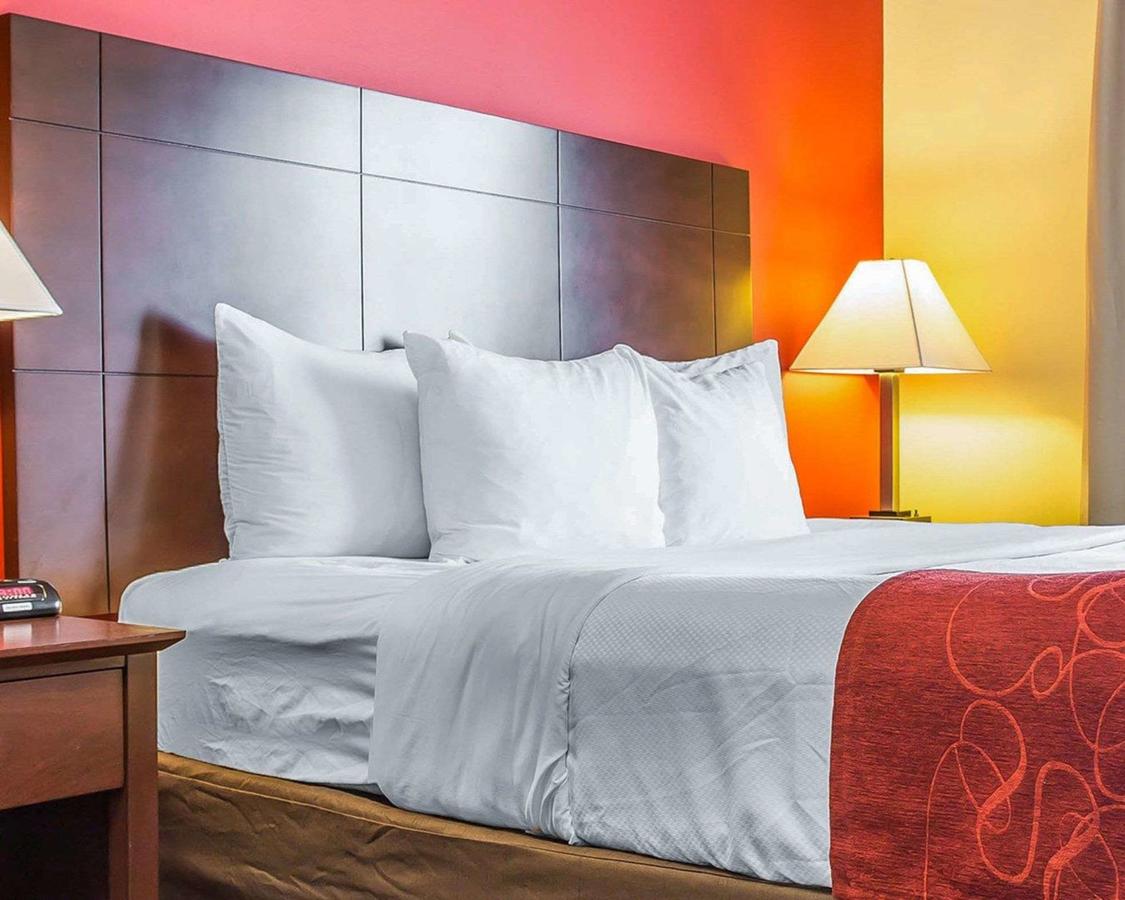 Comfort Suites Rock Hill - thumb 25