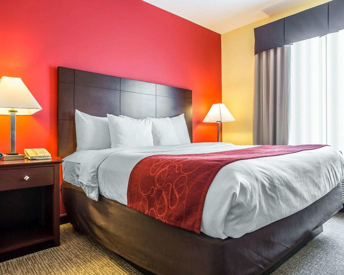 Comfort Suites Rock Hill - thumb 2