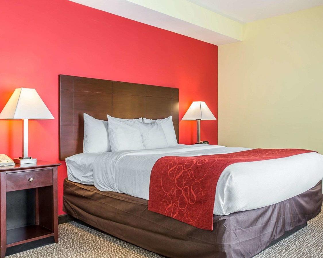 Comfort Suites Rock Hill - thumb 13