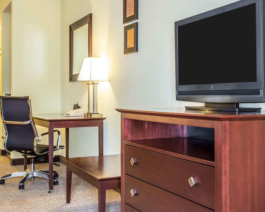 Comfort Suites Rock Hill - thumb 7