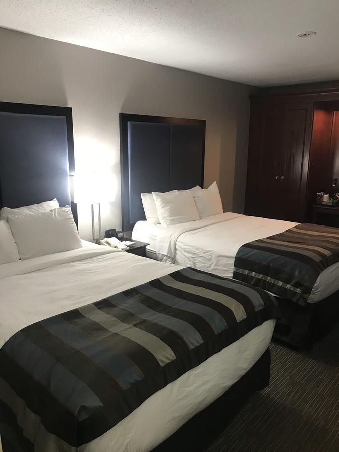 Wingate By Wyndham Charleston Airport Coliseum - thumb 22