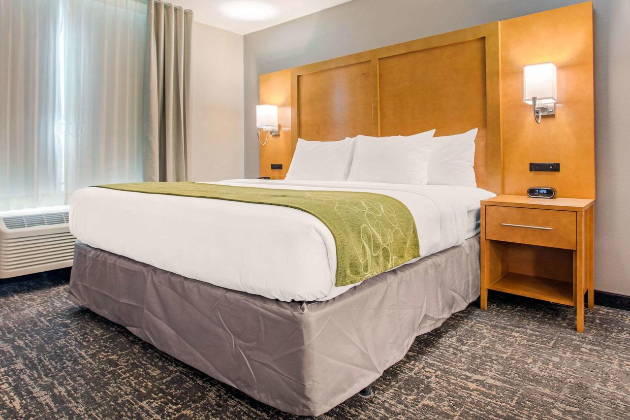 Comfort Suites North Charleston - Ashley Phosphate - thumb 19