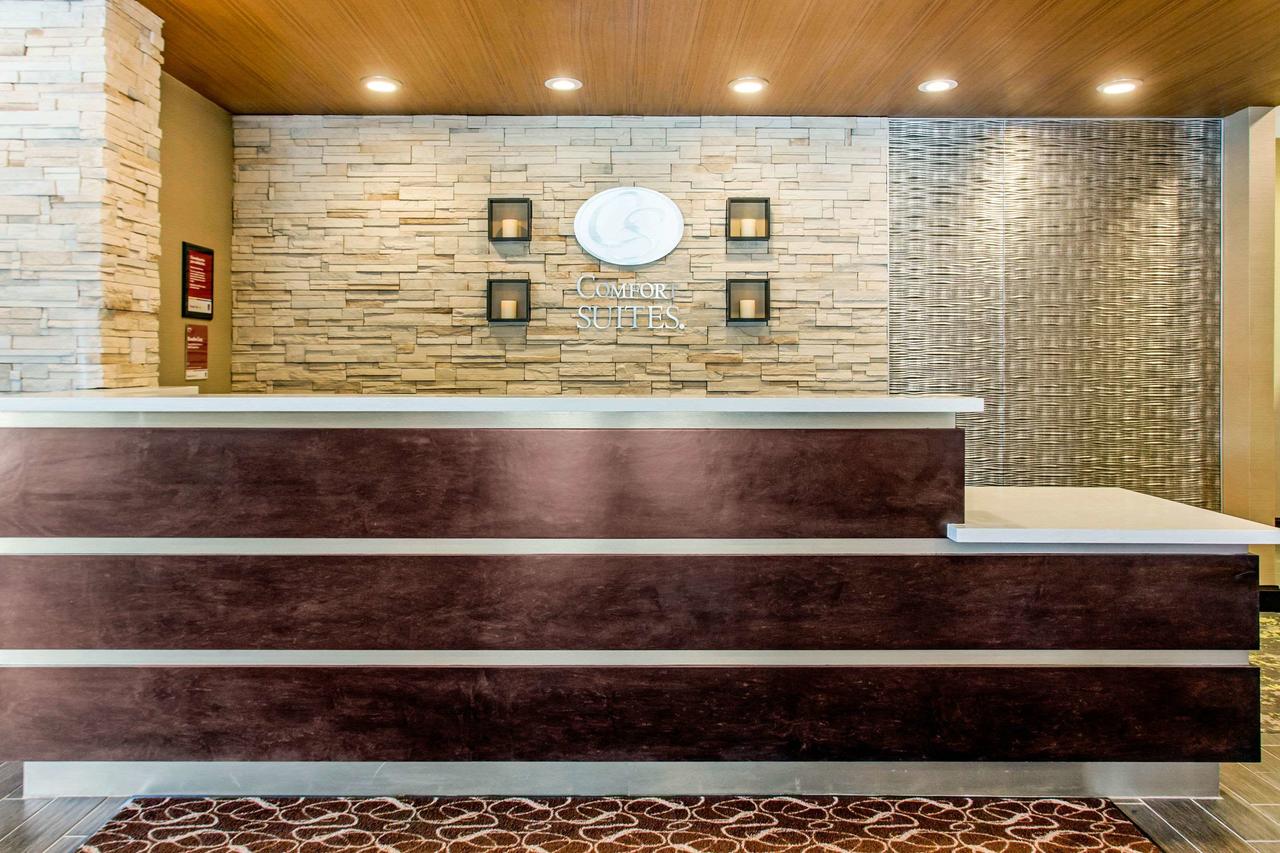 Comfort Suites North Charleston - Ashley Phosphate - thumb 10