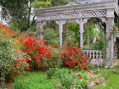 Flowertown Bed And Breakfast - thumb 11