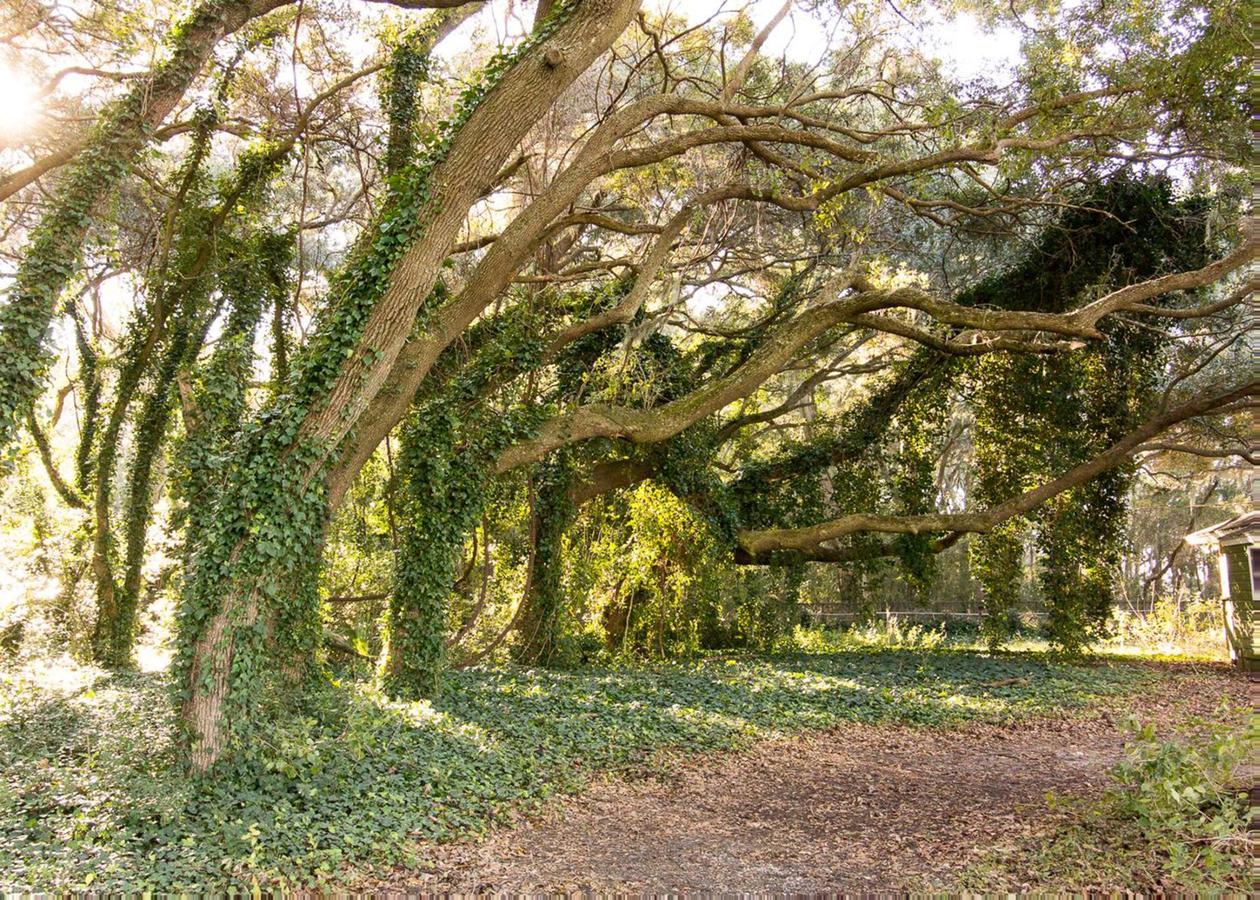 Coastal Cravings On St. Helena Island - thumb 6