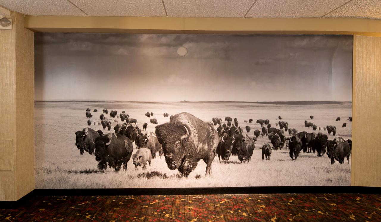 Best Western Ramkota Hotel - thumb 30