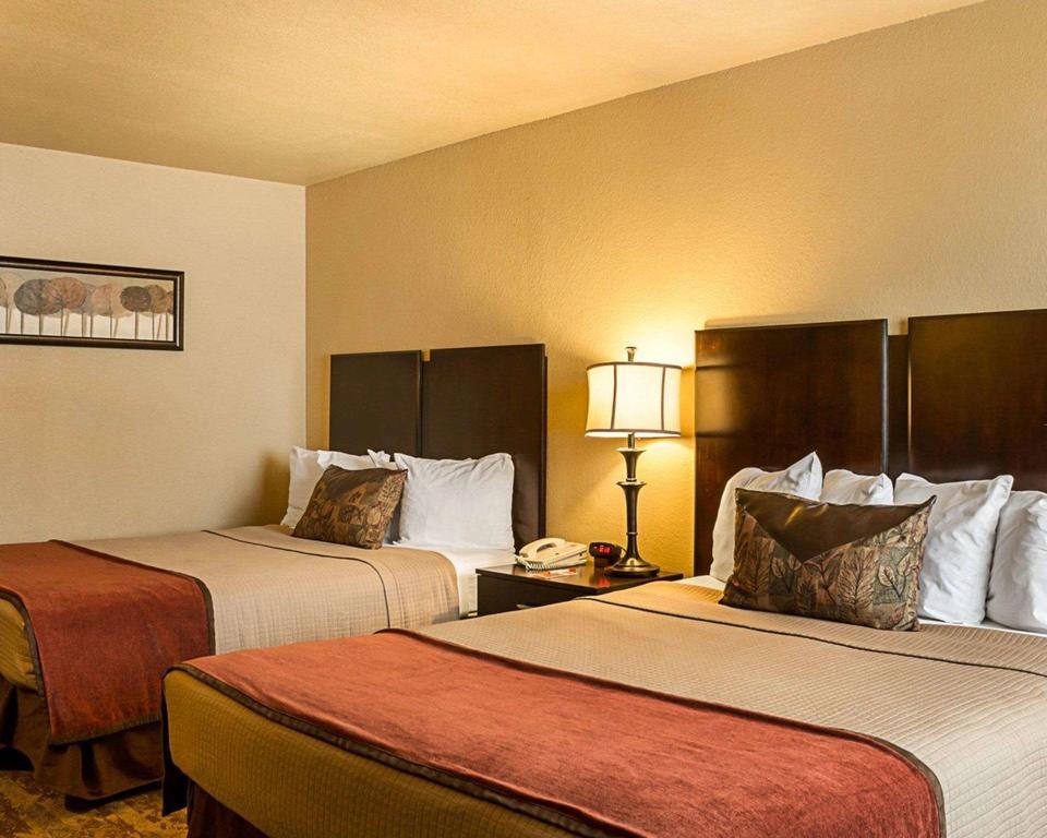 Econo Lodge Rapid City - thumb 1