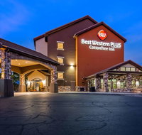 Best Western Plus Cotton Tree Inn - Orlando Tourists