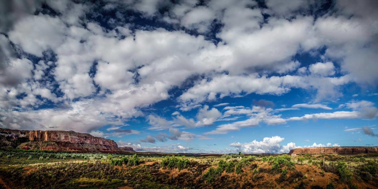 Desert Rose Resort & Cabins - thumb 17