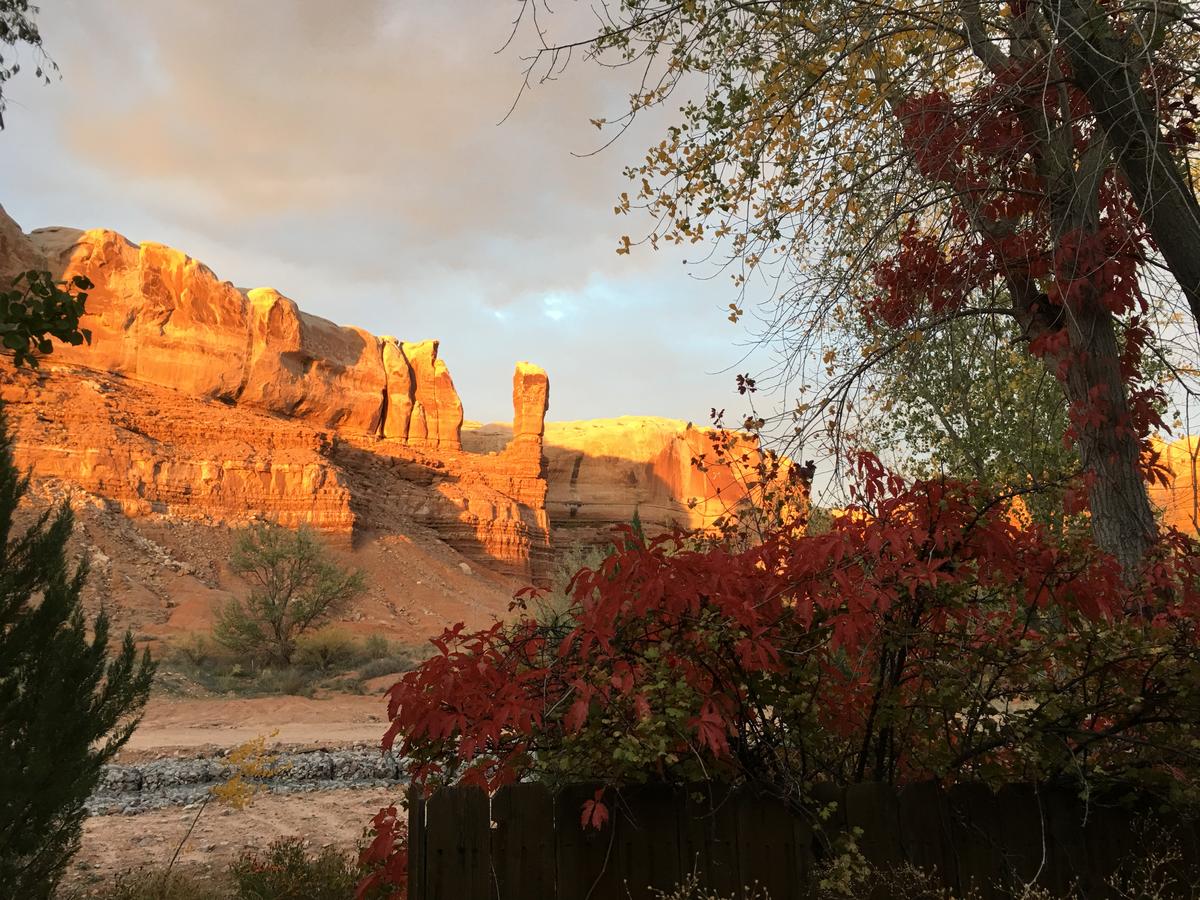 Canyon Wren Bed And Breakfast - thumb 16