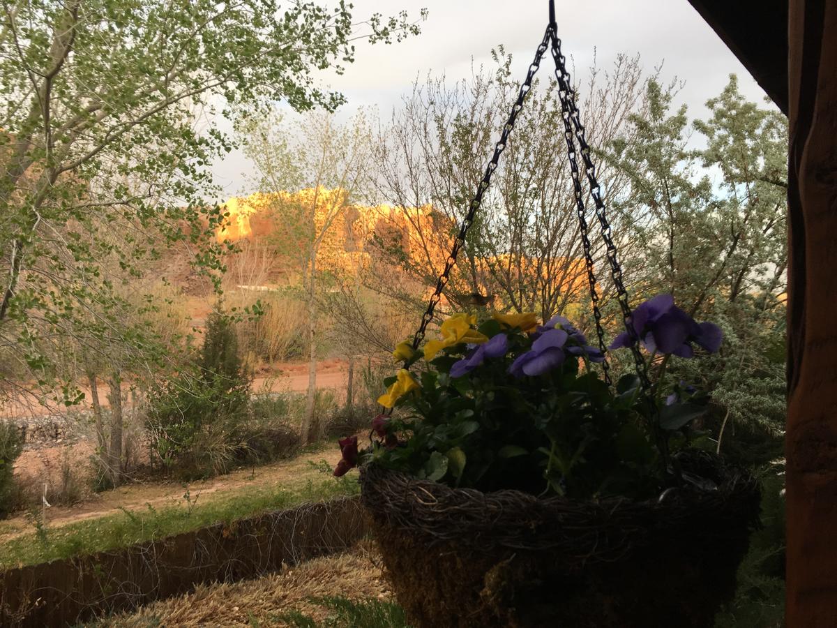 Canyon Wren Bed And Breakfast - thumb 14