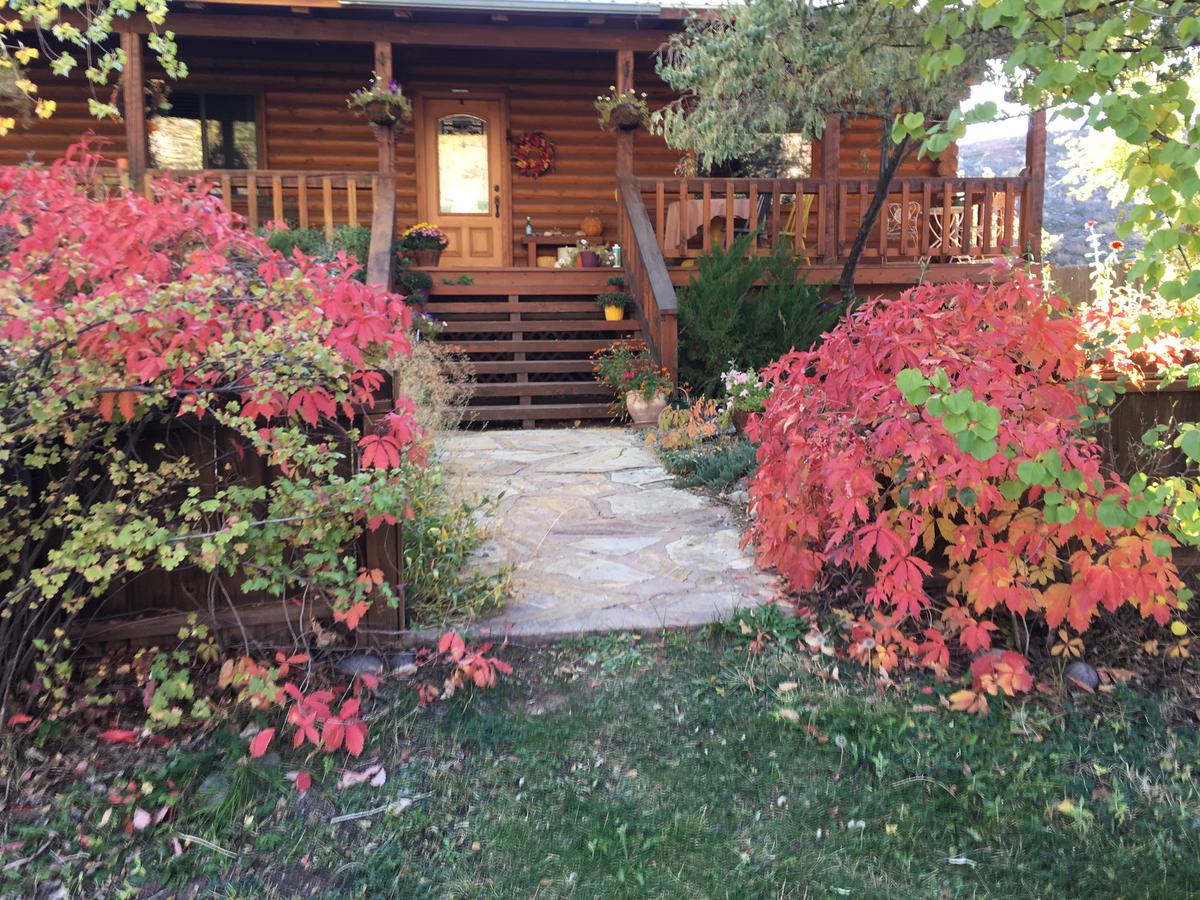 Canyon Wren Bed And Breakfast - thumb 21