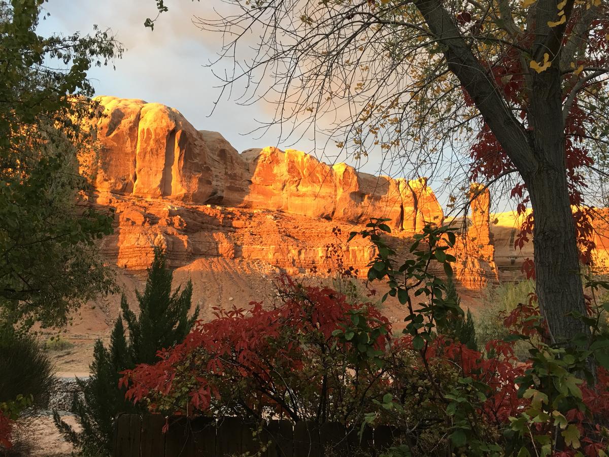 Canyon Wren Bed And Breakfast - thumb 22