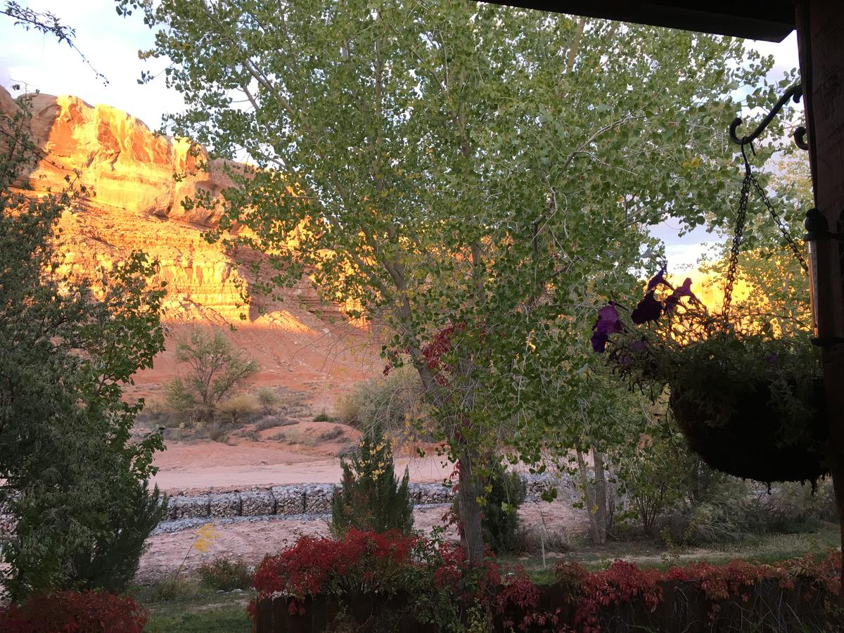 Canyon Wren Bed And Breakfast - thumb 6