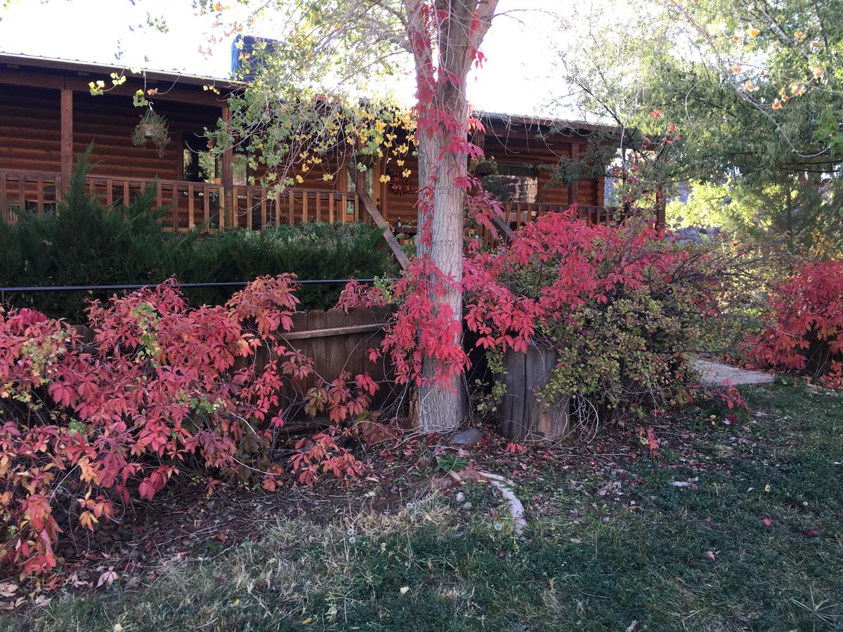 Canyon Wren Bed And Breakfast - thumb 15