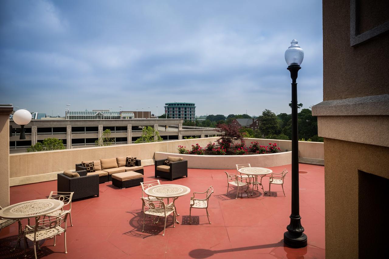 Courtyard By Marriott Norfolk Downtown - thumb 13