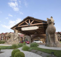 Great Wolf Lodge Williamsburg - Orlando Tourists