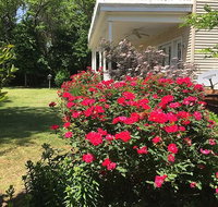The Baywood Bed & Breakfast - Orlando Tourists