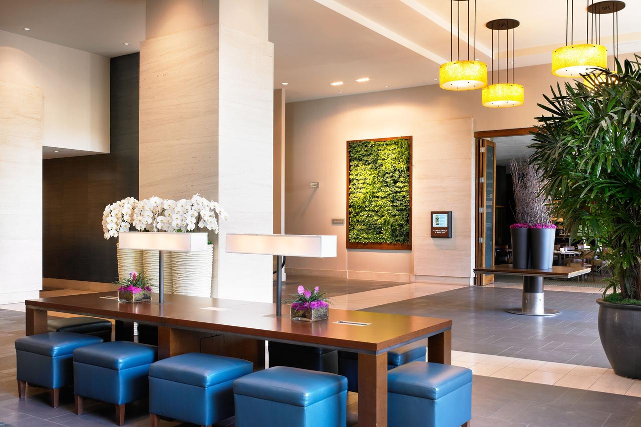 The Westin Bellevue - thumb 8