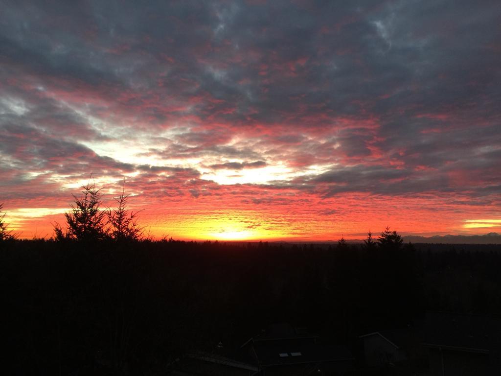Bellevue Retreat - Bellevue, Washington - thumb 17