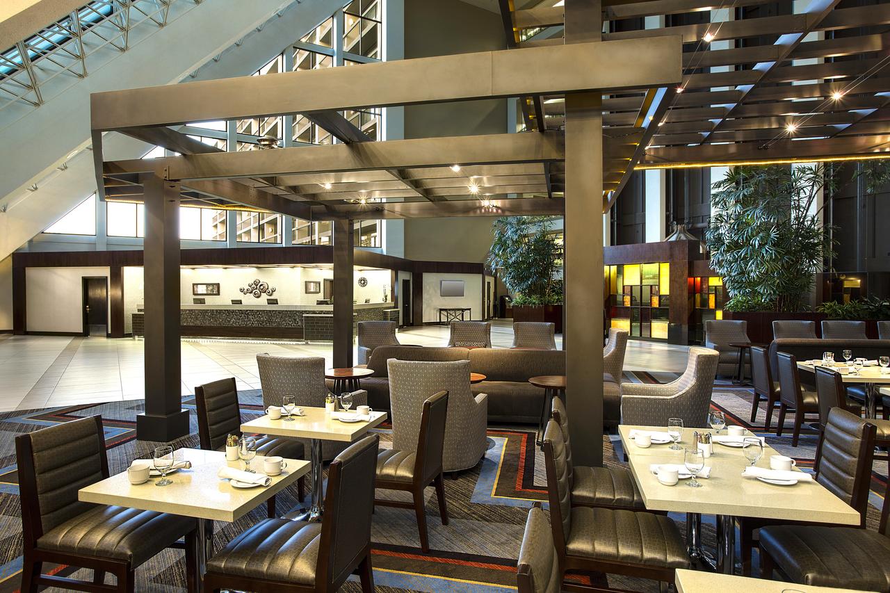 Hilton Bellevue - thumb 29