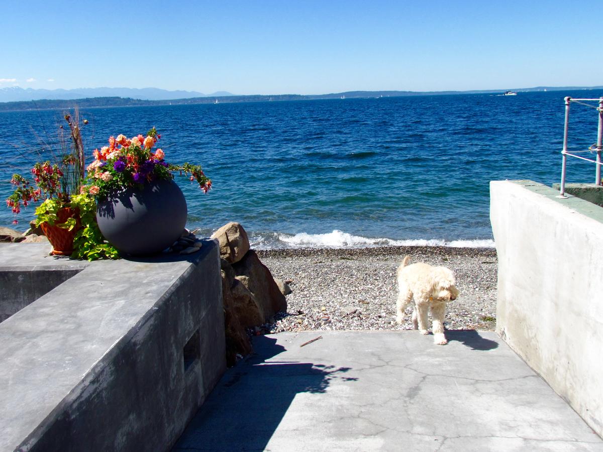 Alki Point Beach House - thumb 4