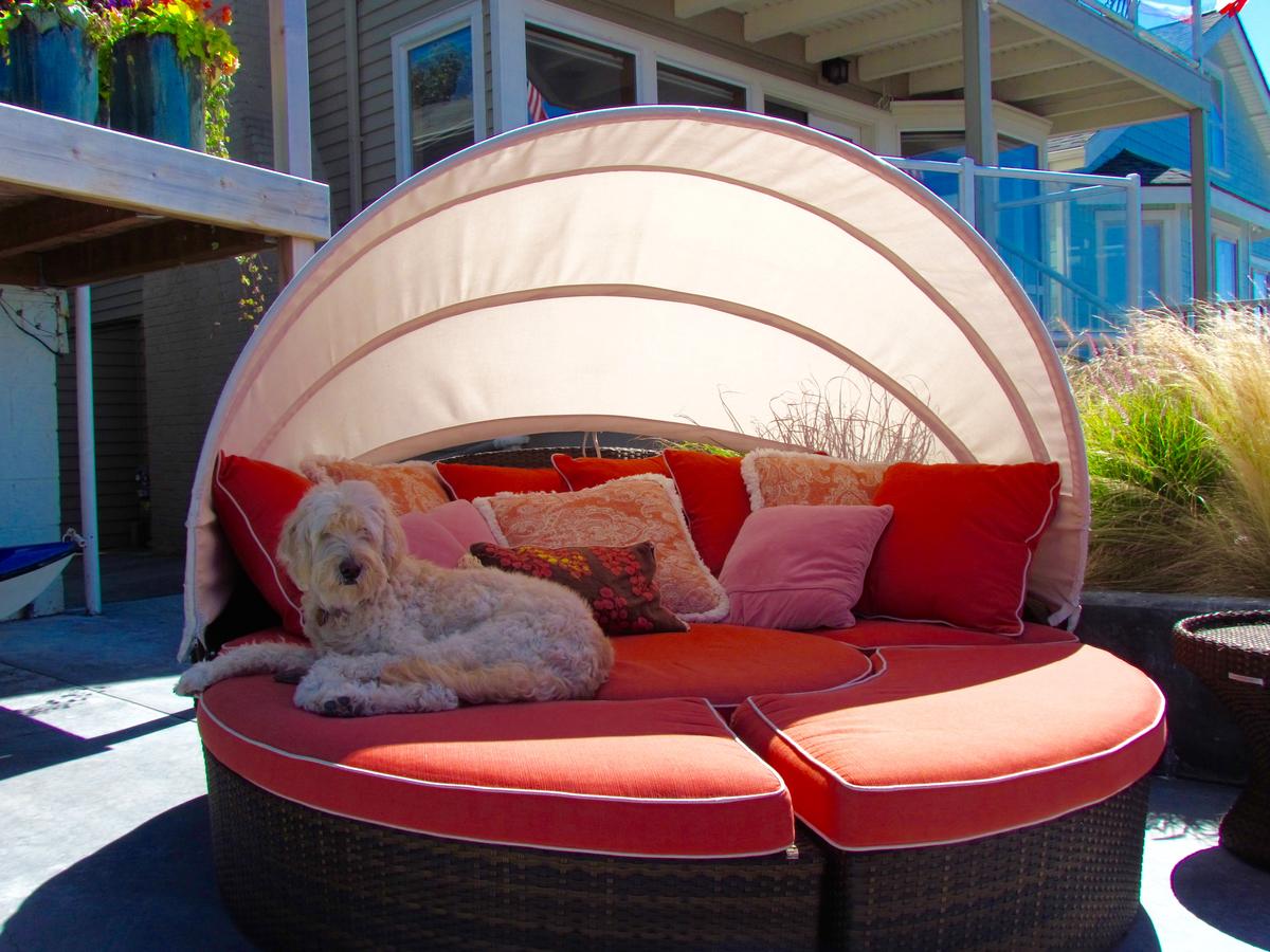 Alki Point Beach House - thumb 3