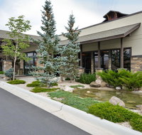 The Cody - Orlando Tourists