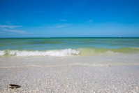 1 Bed Direct Beach Access Close to J.W. Marriott Orlando Tourists
