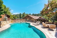 Booking Forestville Orlando Tourists
