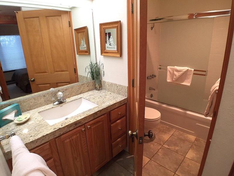 146 Standard Condo - thumb 2